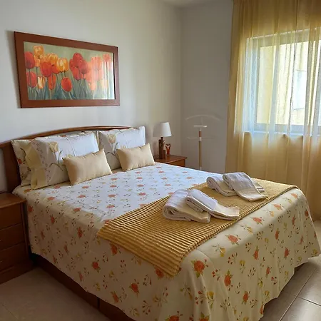 Amazing With Swiming Pool