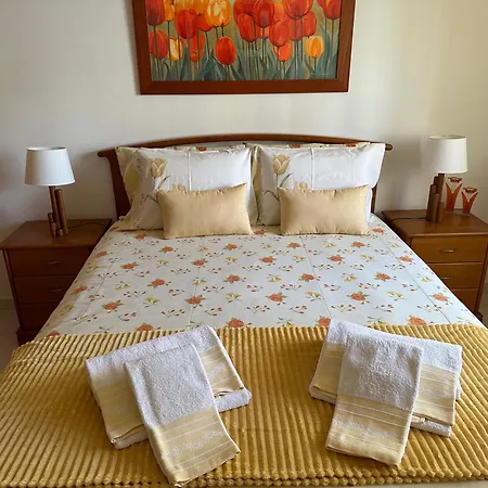 Amazing With Swiming Pool