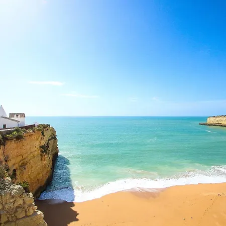 Amazing With Swiming Pool