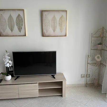 Amazing With Swiming Pool Daire *